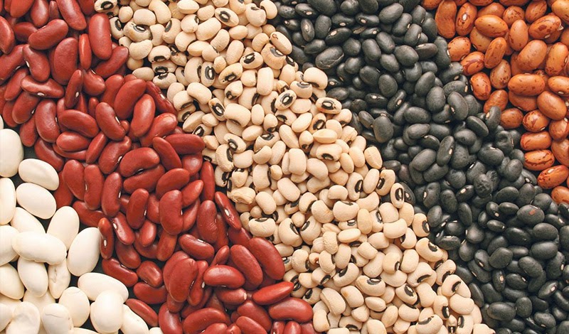  Các loại đậu – Thực phẩm tăng cường trí nhớ giàu năng lượng